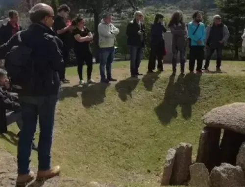 Visita Guiada: da Pré-História aos Callaeci Bracari
