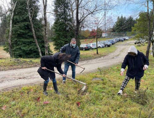 Voluntariado ecológico – Florestar Braga 2021
