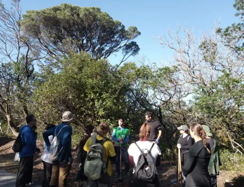 Voluntariado Ecológico 11ª edição
