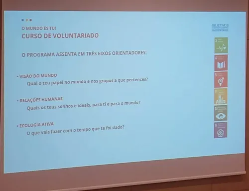 Formação para o Voluntariado – “O Mundo és Tu” – 2024