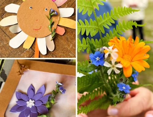Manhãs Criativas – uma manha em flor